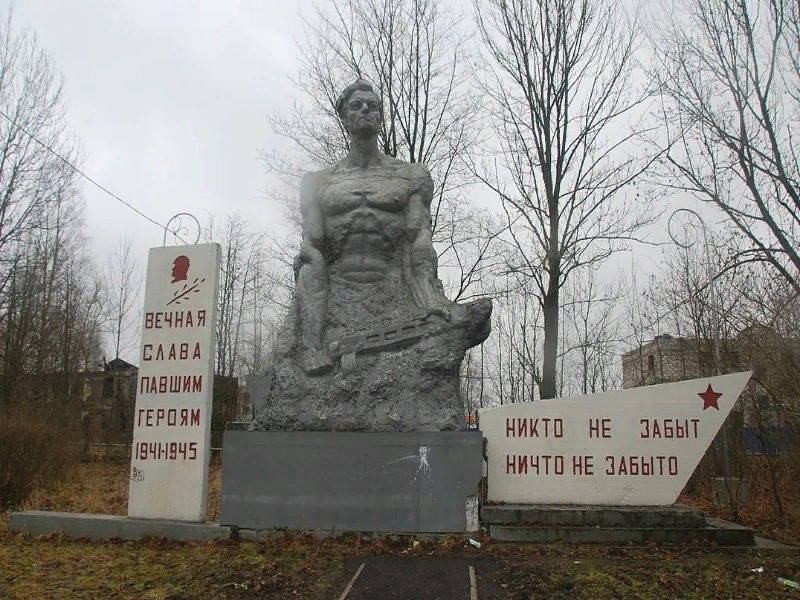 Назиевское городское поселение.