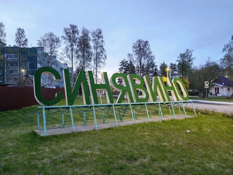 Синявинское городское поселение.